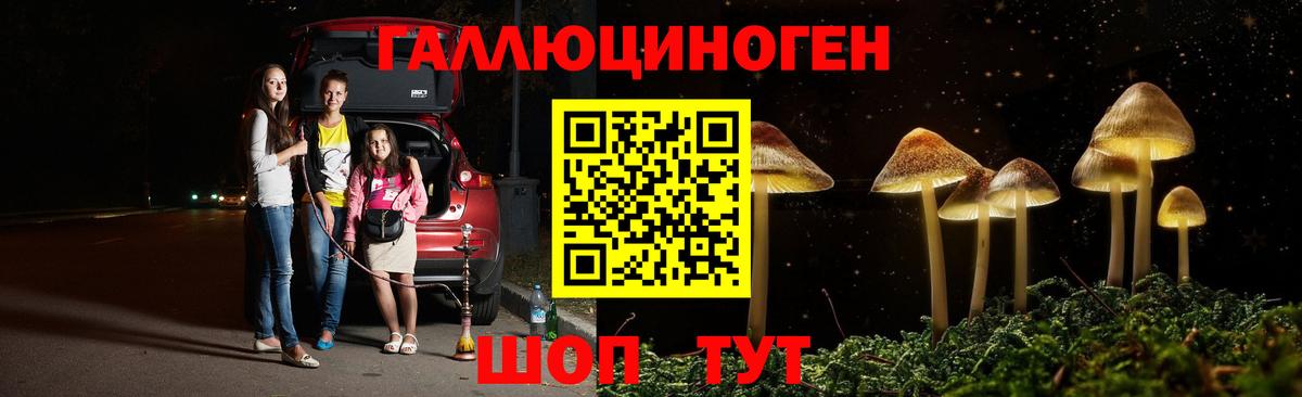 Черногорск  где найти   Вход с VPN  Псилоцибиновые грибы мухоморы  Галлюциногенные грибы мухоморы 
