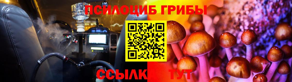 Галлюциногенные грибы Psilocybine cubensis Черногорск